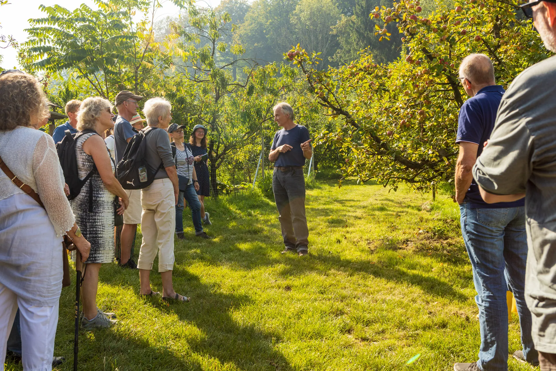 Vortragssituation bei der offenen Führung zu den historischen Obstsorten im Obst-Arboretum Olderdissen