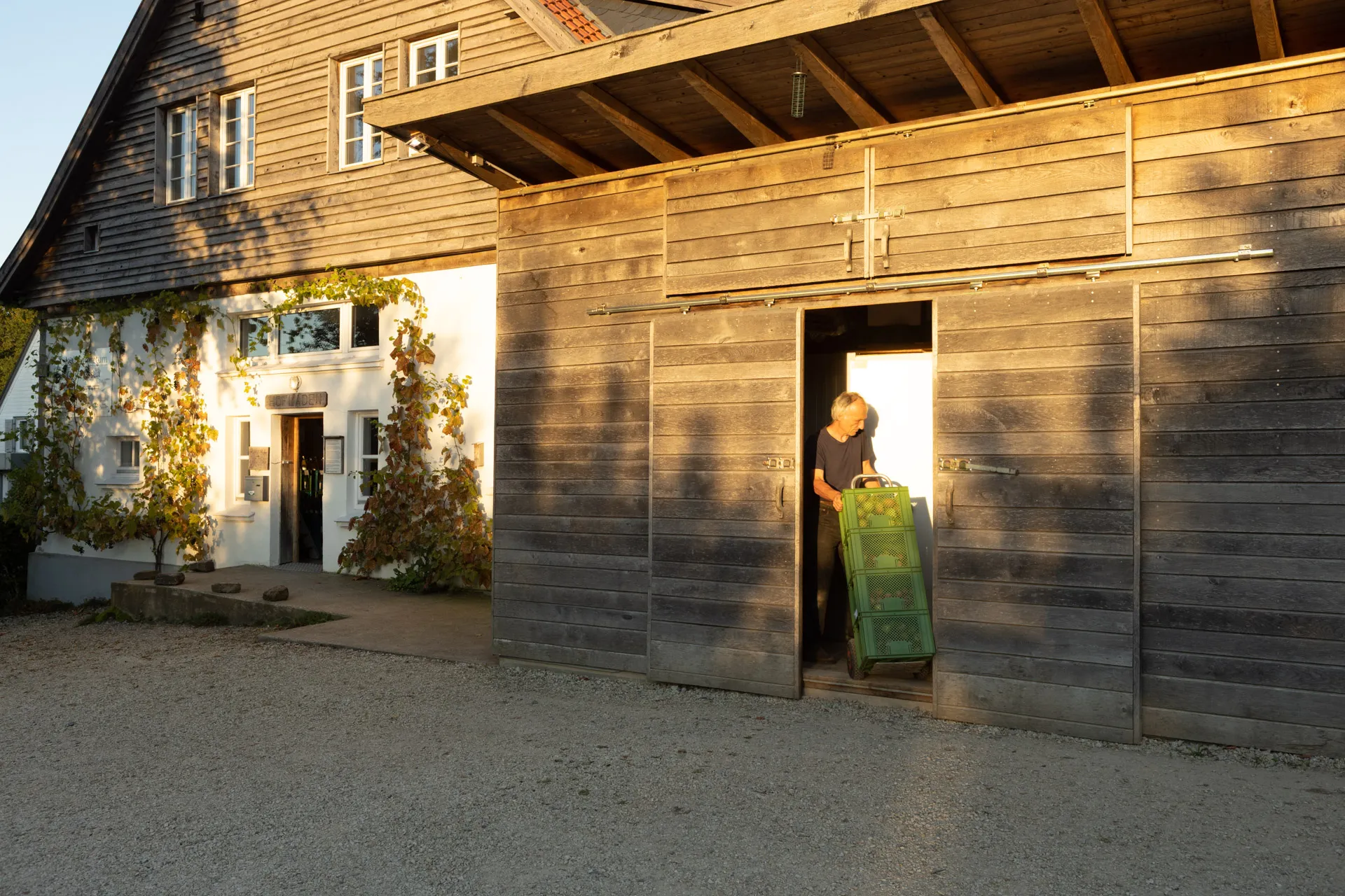 Einlagerung der Ernte regionaler Obstsorten im Obst-Arboretum Olderdissen