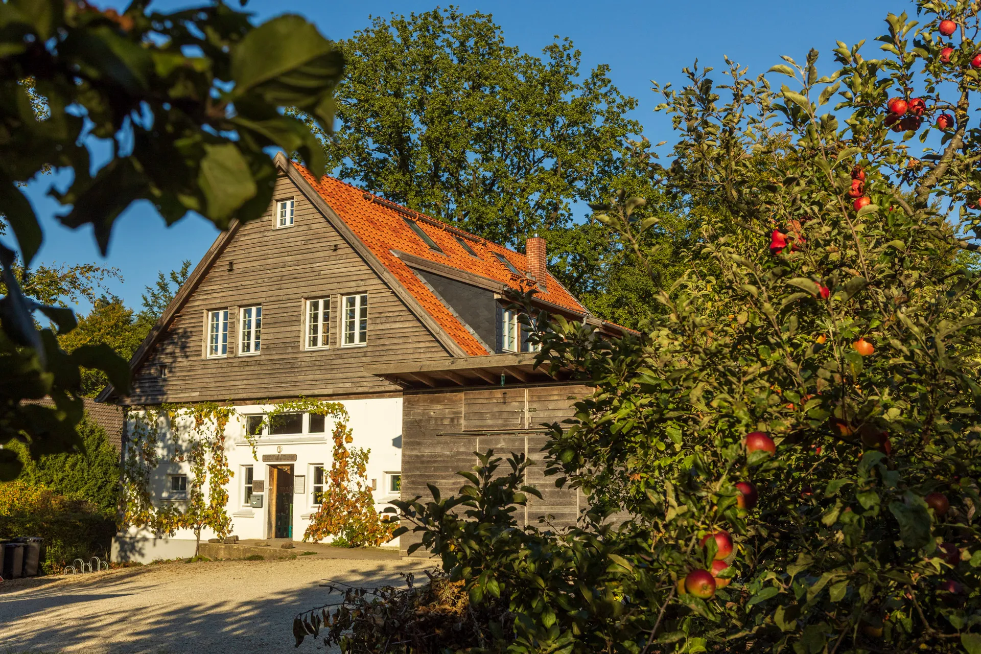 Obst-Arboretum Olderdissen