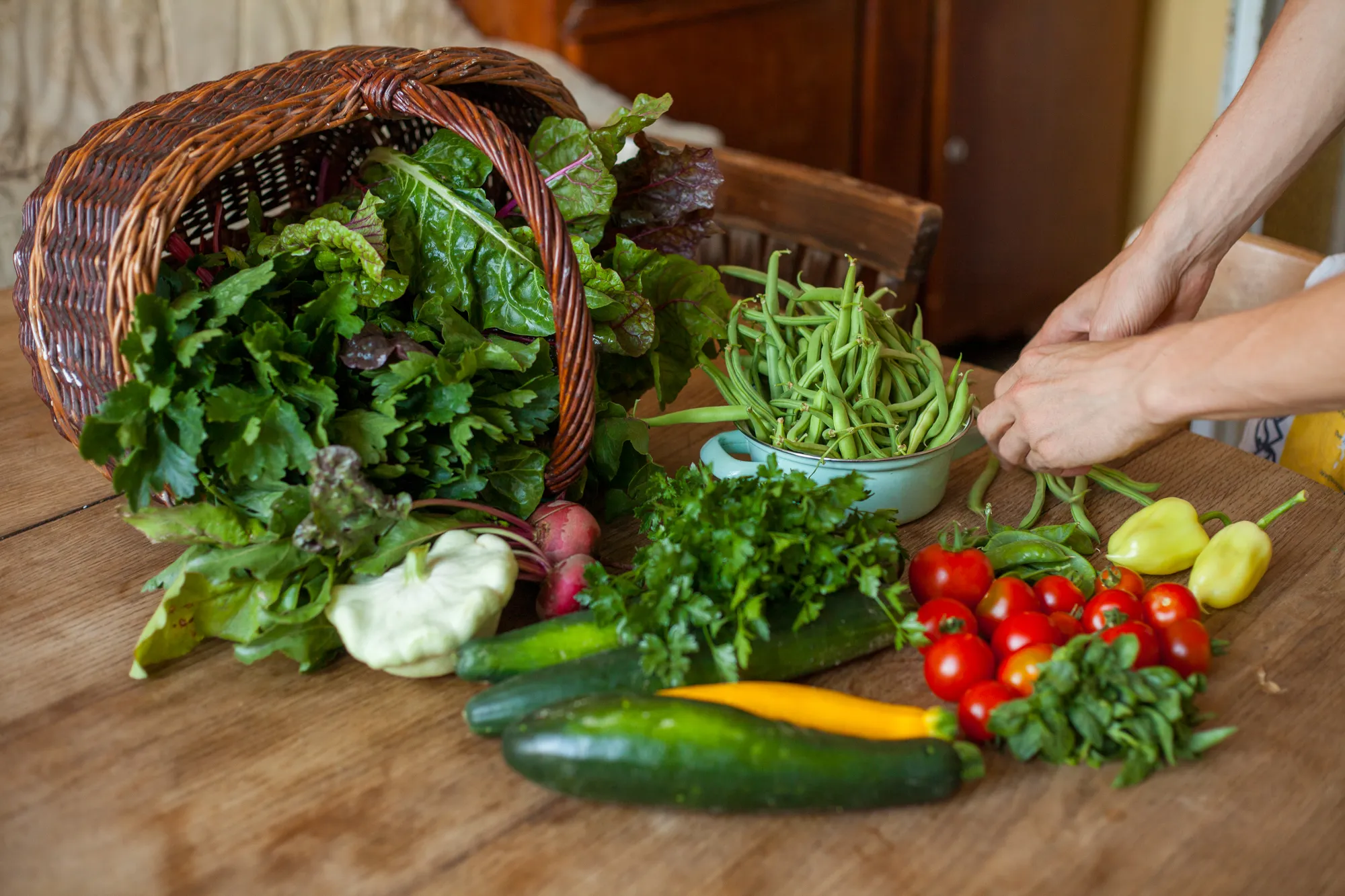 Detailaufnahme aus der vegan-landwirtschaftlichen Praxis der Solidarischen Landwirtschaft Wildwuchs