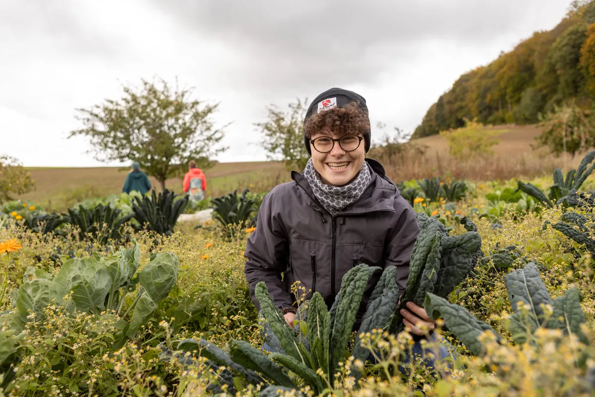 Eine Person mit schwarzer Mütze und Brille erntet Kohlblätter in einem Gemüsebeet; im Hintergrund arbeiten weitere Menschen auf dem Feld.